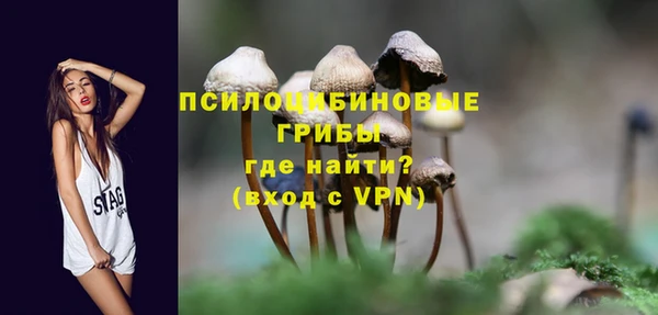 прущая мука Болхов