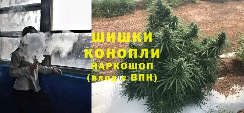 Шишки марихуана SATIVA & INDICA  Краснозаводск 